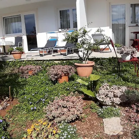 Summer Bloom * Krk Town