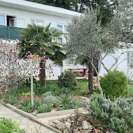 Summer Bloom Krk Town