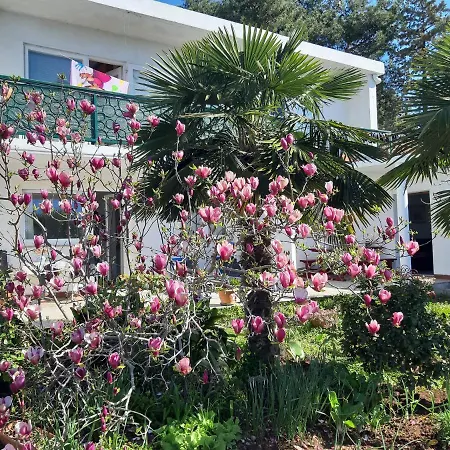 Apartment Summer Bloom Krk Town