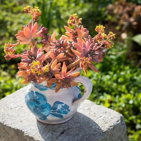 Apartamento Summer Bloom