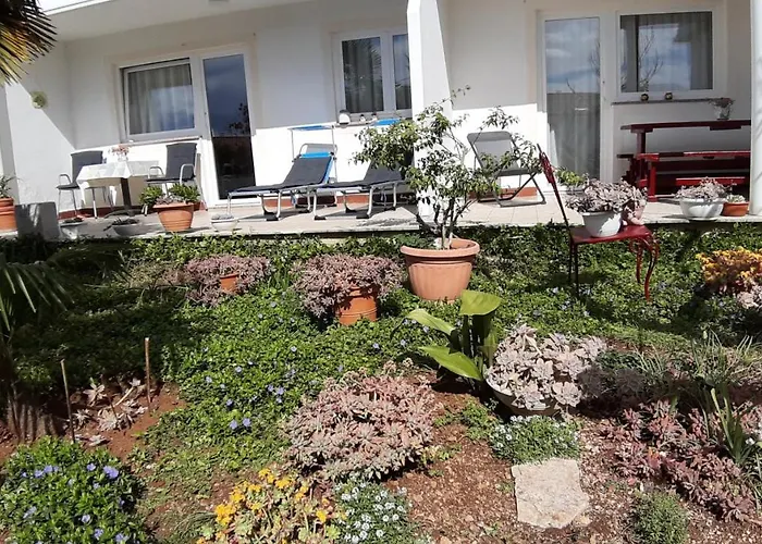 Summer Bloom * 크르크