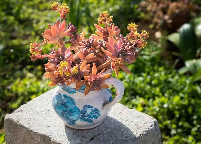 아파트 Summer Bloom