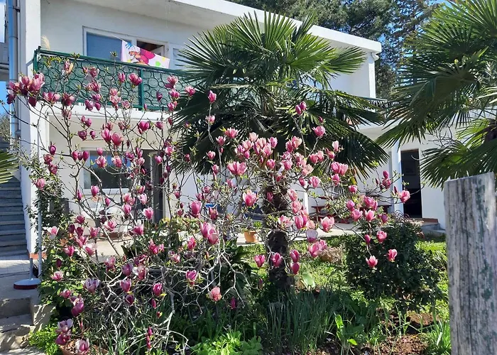 아파트 Summer Bloom 크르크